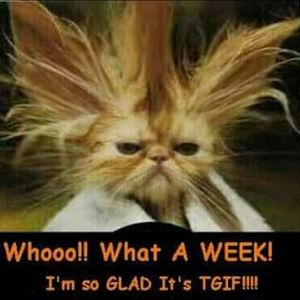 Meet your Posher, Cindy